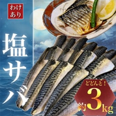 勝浦市の人気の海鮮お礼品 無添加 塩サバ 3kg