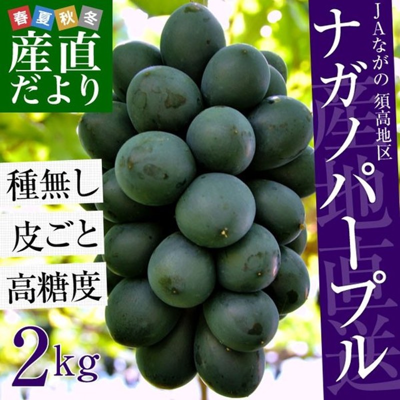 長野県より産地直送 Jaながの 須高地区 ナガノパープル 約2キロ 4から5房 ぶどう ブドウ 葡萄 通販 Lineポイント最大0 5 Get Lineショッピング