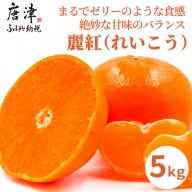 『予約受付』麗紅(れいこう）ハウス栽培 唐津産 5kg