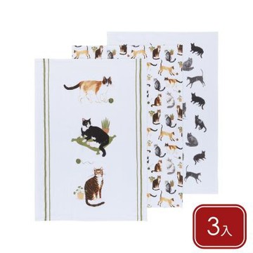 《NOW》美國 純棉擦拭布3入-幸福貓生76x51cm-- 廚房抹布 清潔布 擦拭布 茶巾
