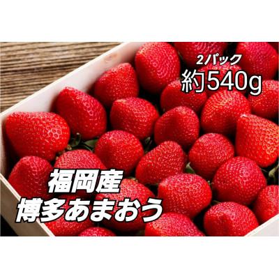 ふるさと納税 那珂川市 農家直送 朝採り新鮮いちご約270g×2パック(那珂川市)