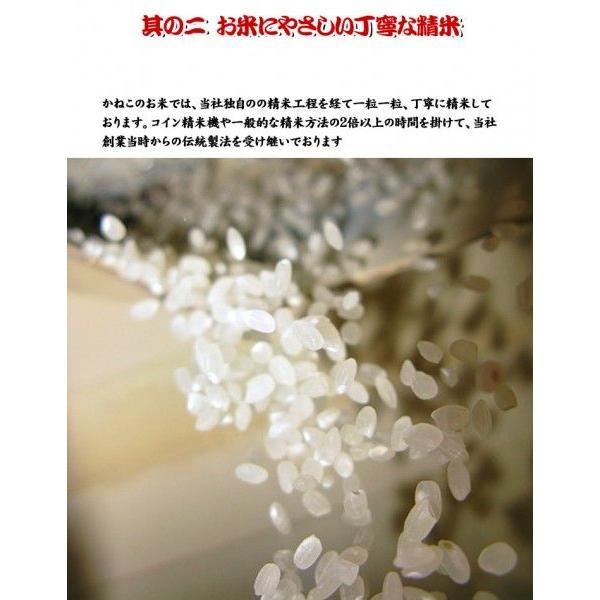 新米 10kg(5kgx2) 無洗米 秋田県産 あきたこまち 米 令和5年産 内のし対応 贈り物