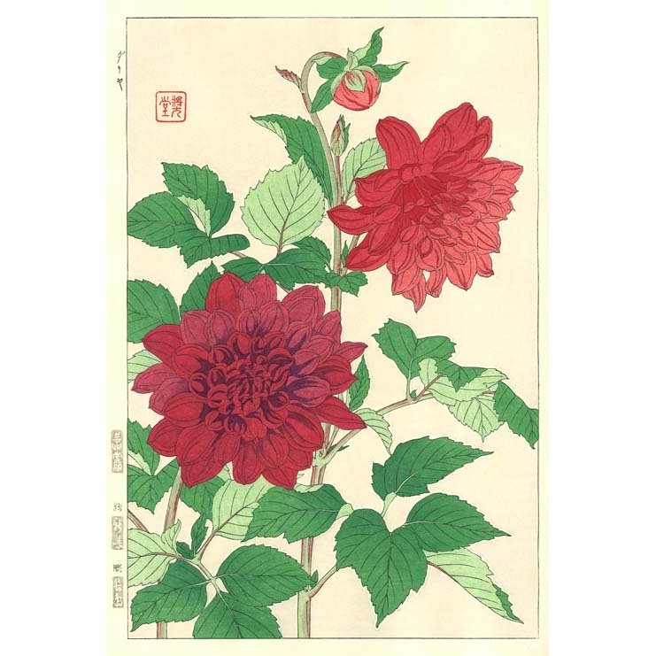 F041 ダリヤ　花版画 Flower Woodcut ‐Dahilia ‐