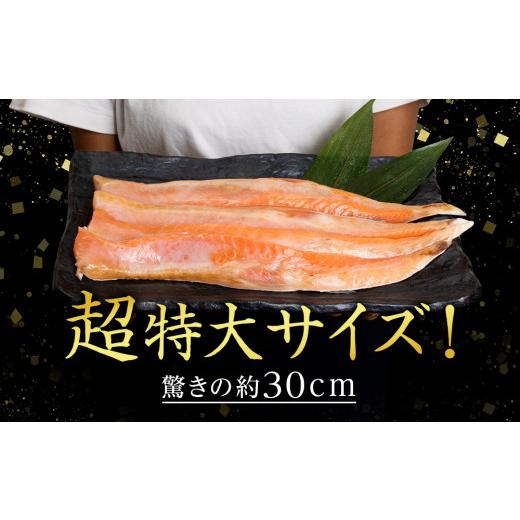 ふるさと納税 北海道 知内町 鮭 ハラス 燻製 500g×4パック 合計2kg セット トラウト サーモン 冷凍 海鮮 魚 さけ おつまみ おかず ＜三洋食品＞