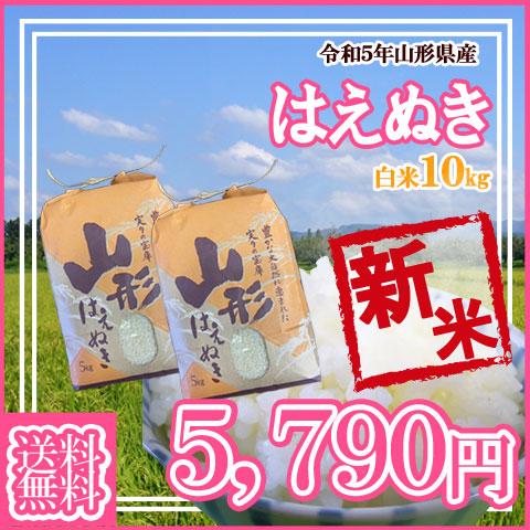 令和5年産 新米 送料無料 山形県産 はえぬき 白米 5kg×2 十キロ お米 おこめ 白米 はくまい  10kg