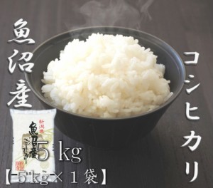 米 お米 令和5年産 新潟県 魚沼 コシヒカリ 5kg 合計 5kg