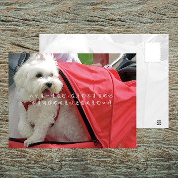 No.B28明信片 / 人生是一場旅行 / 任選買10送1