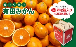 有田みかん・食べくらべ３種（各2kg）| フルーツ 果物 蜜柑 ミカン オレンジ 有田産 和歌山産 産地直送※着日指定不可