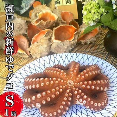 ふるさと納税 三原市 瀬戸内の新鮮ゆでダコ(S)1匹[5311-0206]