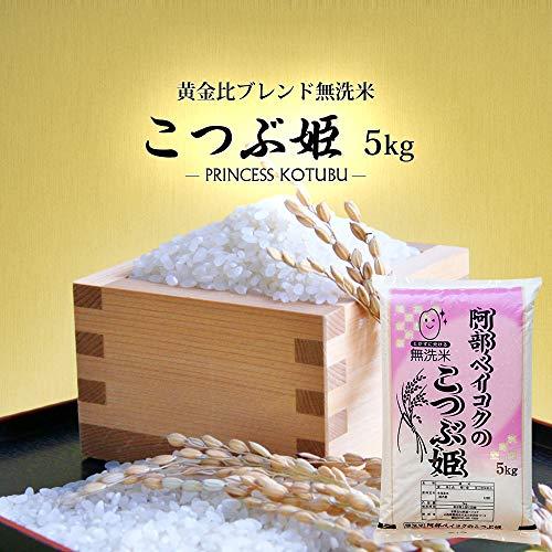  無洗米 5kg こつぶ姫 山形県産 白米