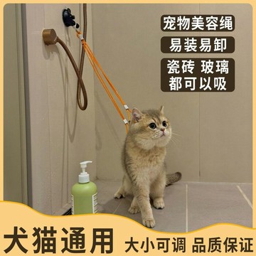 💕在臺出貨🔥貓咪洗澡固定器寵物剪毛洗貓洗狗貓咪固定神器美容臺吸盤固定吊繩 寵物洗澡固定器 狗狗洗澡用具 貓咪洗澡 貓