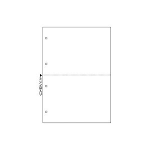 ヒサゴ プリンター帳票 BP2003 A4 白 2面 100枚 4902668553262