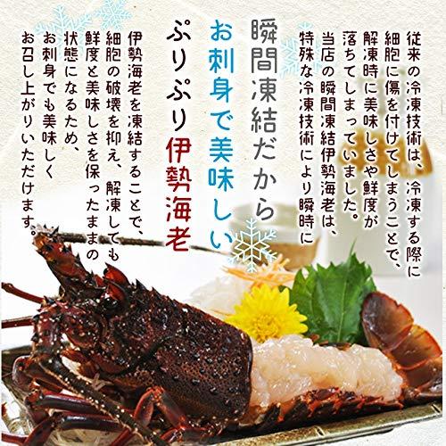 三重県産 伊勢海老 詰合せ １尾で４００ｇ 刺身用 瞬間 冷凍 伊勢エビ