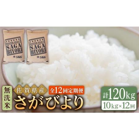 ふるさと納税 さがびより 無洗米 10kg（5kg×2袋）特A評価 特A 特A米 米 定期便 お米 佐賀 [H.. 佐賀県江北町