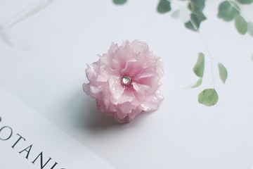 日本櫻花胸針/真花樹脂手工製作/日本進口貴和kiwa胸針