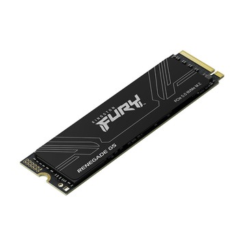 Kingston FURY Renegade G5 2TB PCIe 5.0 NVMe M.2 SSD (SFYR2S/2T0)