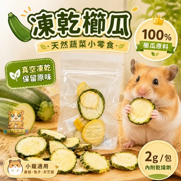77寵物 凍乾櫛瓜2g 天然蔬菜凍乾 小動物零食 倉鼠兔子天竺鼠適用 無添加低溫凍乾 高纖營養點心 台灣現貨