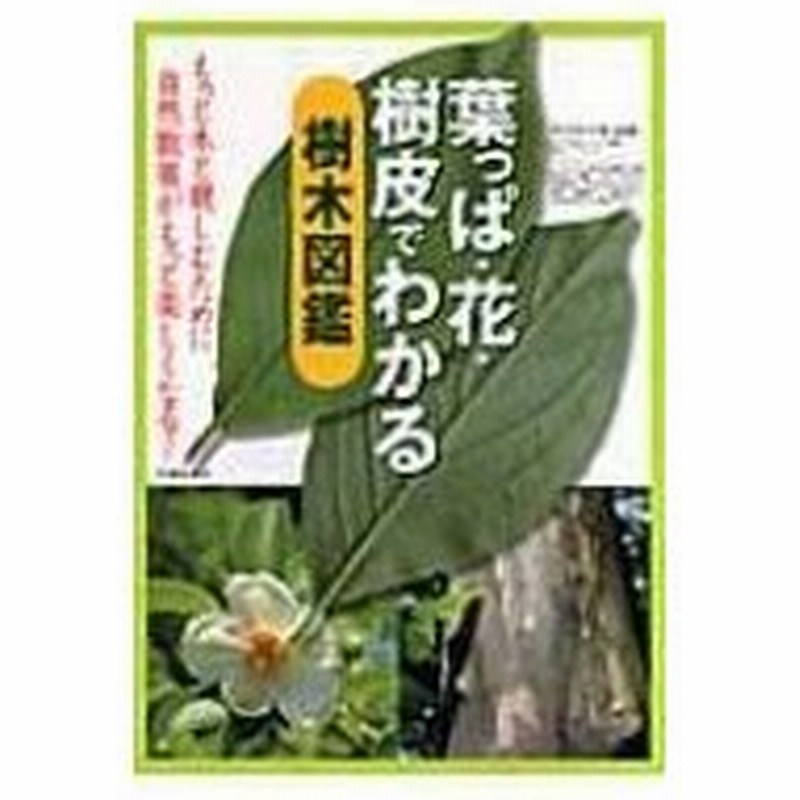 葉っぱ 花 樹皮でわかる樹木図鑑 池田書店 本 通販 Lineポイント最大0 5 Get Lineショッピング