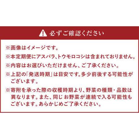 ふるさと納税  季節の野菜詰め合わせ 〜有機野菜セットB〜 北海道北広島市