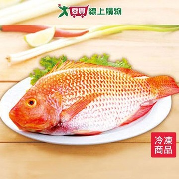 台灣嚴選尼羅紅魚1尾(500~600g/尾)【愛買冷凍】