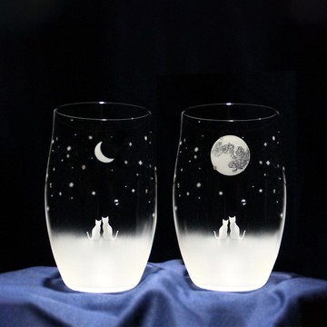 貓咪圖案眼鏡 - 新月和滿月夜空 - 大號一對