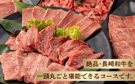 長崎和牛丸ごと一頭 堪能！ 総計6.2kg以上 サーロイン モモ イチボ シャトーブリアン 焼肉 ステーキ 長崎和牛 希少部位 [WF15]