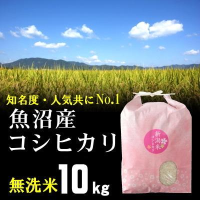 無洗米 魚沼産コシヒカリ 10kg 米 お米   最高級銘柄 新潟 魚沼米 令和5年産 新米   人気 おいしい 新潟米 こしひかり 送料無料