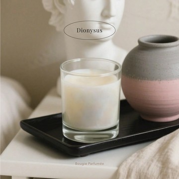 i1香氛蠟燭/融燭 葡萄酒-50g