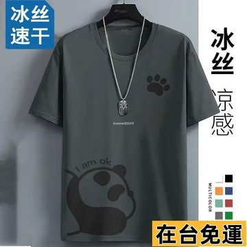 🔥台灣發出🔥 大尺碼冰絲T恤 短袖上衣 冰絲男t恤短袖 速幹透氣 大碼寬鬆 冰感休閑T恤 健身運動上衣 T恤男預購S