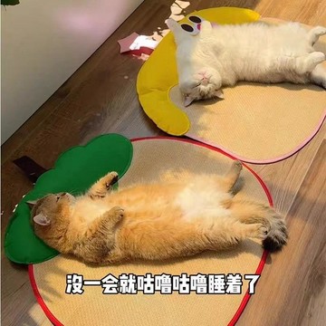 寵物省錢鋪】貓咪涼蓆寵物涼墊夏天狗狗藤席墊子冰窩夏季降溫睡覺墊子防水貓窩 夏季涼席 貓窩墊 涼墊 貓咪涼墊 犬 寵物貓