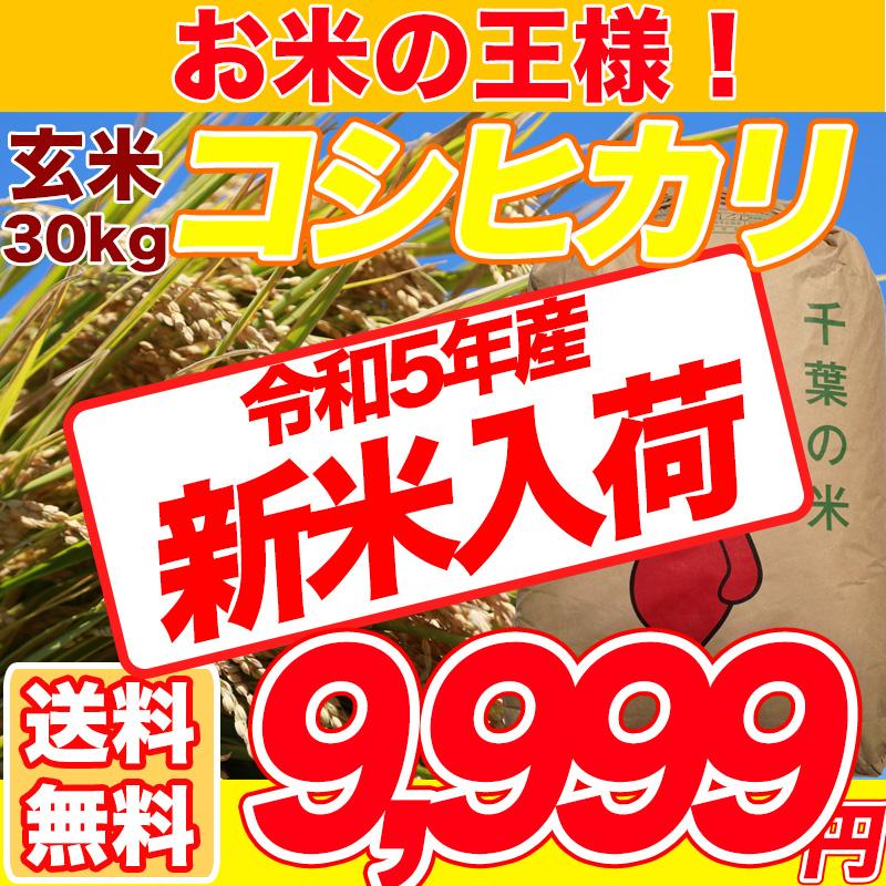 新米 令和5年産 米 30kg お米 コシヒカリ 玄米食でも安心の選別済 玄米 白米 精米 コメ 千葉県産 精米無料 送料無料