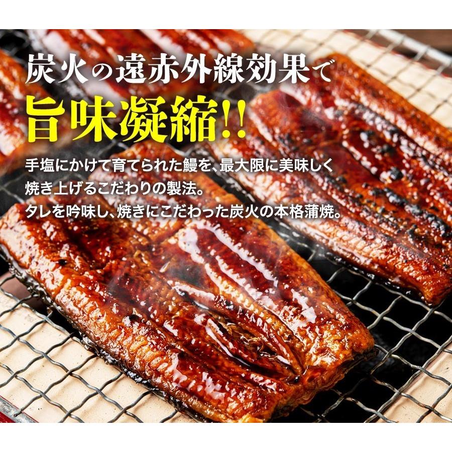 うなぎ 蒲焼き 鰻 国産 無投薬 約180g×2尾 2本 特大 風呂敷包み ウナギ かば焼き タレ 冷凍便 ギフト お取り寄せ