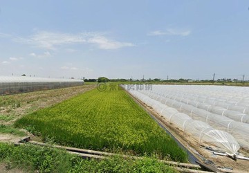 將軍近漚汪村莊臨路7米農保養生農地2｜台南市將軍區西甲