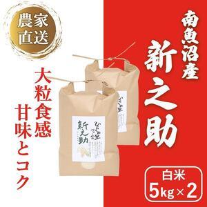 ふるさと納税 きらめく大粒！南魚沼産新之助 白米5kg×2 ひらくの里ファーム 新潟県南魚沼市