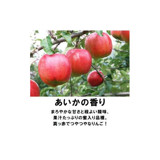 ふるさと納税 秋田県 鹿角市 《先行予約》秋田県鹿角産 りんご「あいかの香りこうこう」家庭用 5kg（12〜20玉）●2023年12月上旬発送…