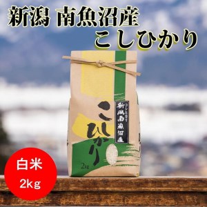 南魚沼産コシヒカリ（白米2kg×全12回）