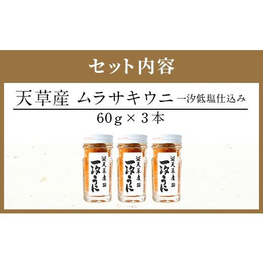 ふるさと納税 熊本県 上天草市 天草産ムラサキウニだらけ　豪華3本セット　(一汐低塩仕込み／60g)