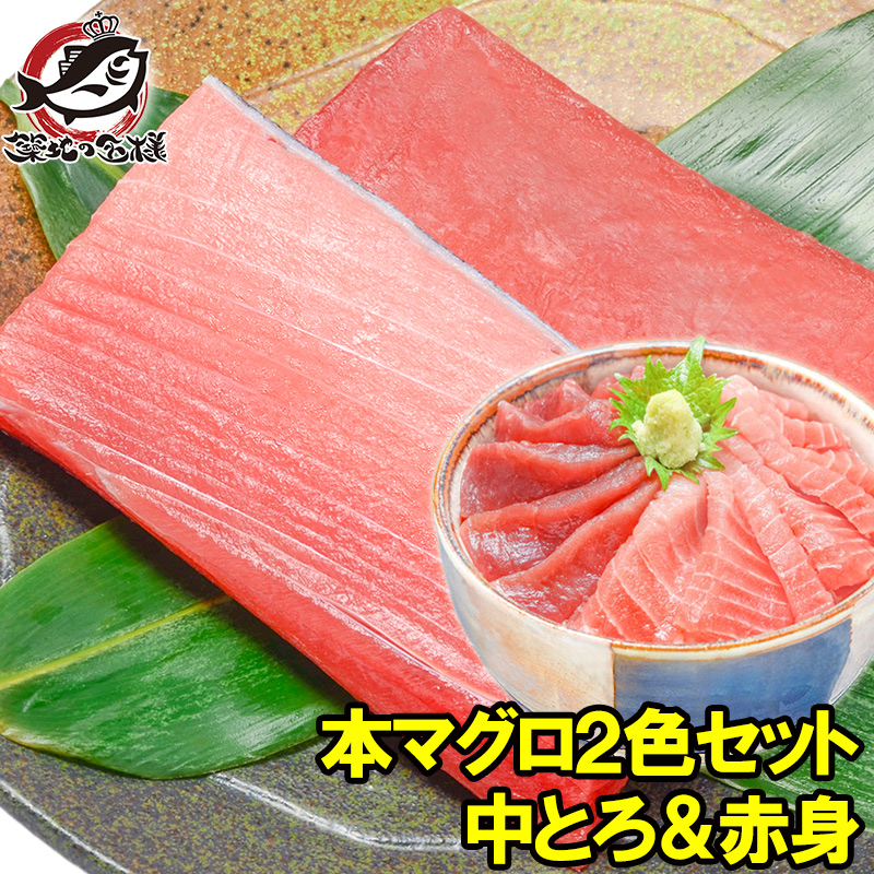 本マグロ 本まぐろ 中トロ 200g 赤身 200g セット 築地の王様ブランドまぐろ 通が唸る本マグロの真髄赤身と人気1番中トロを極める 本鮪 鮪 まぐろ マグロ クロマグロ 刺身 寿司 海鮮丼 冷凍 築地市場 豊洲市場 maguro おせち 単品おせち ギフト