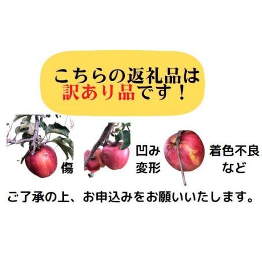 ふるさと納税 長野県 箕輪町 さんふじ 約5kg りんご リンゴ 林檎 長野 フルーツ 果物 信州産 長野県産 特…