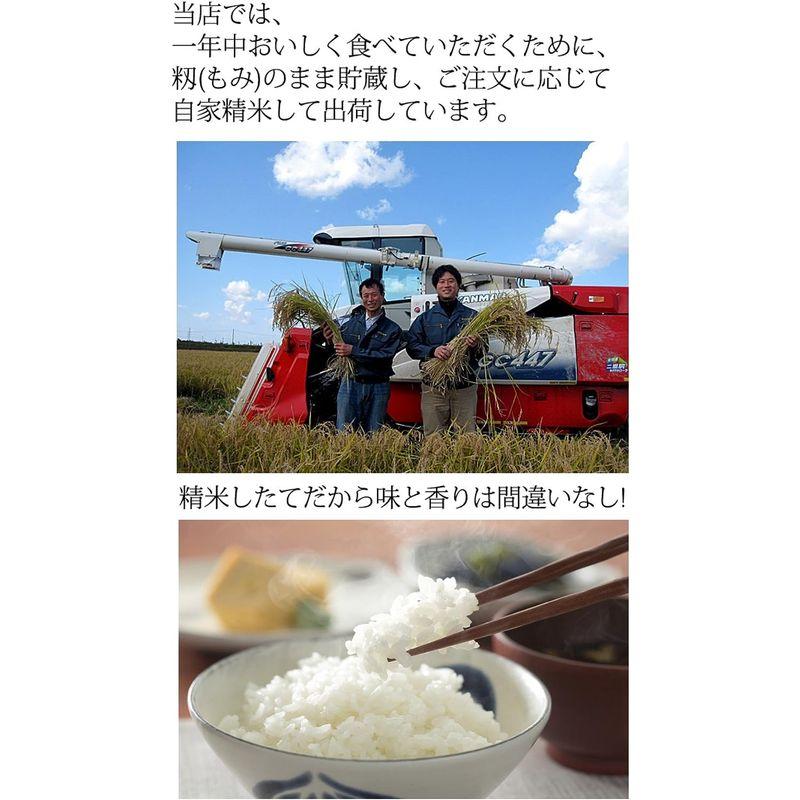 こだわり特別栽培米コシヒカリ白米20kg(10kg×2） もりばやし農園自社栽培