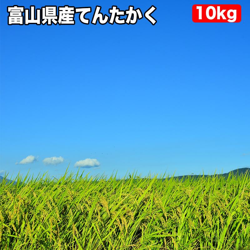 新米 米 10kg お米 玄米 真空パック（5kg×2袋） 富山県産 てんたかく 令和5年産 精米無料 真空パック無料 送料無料