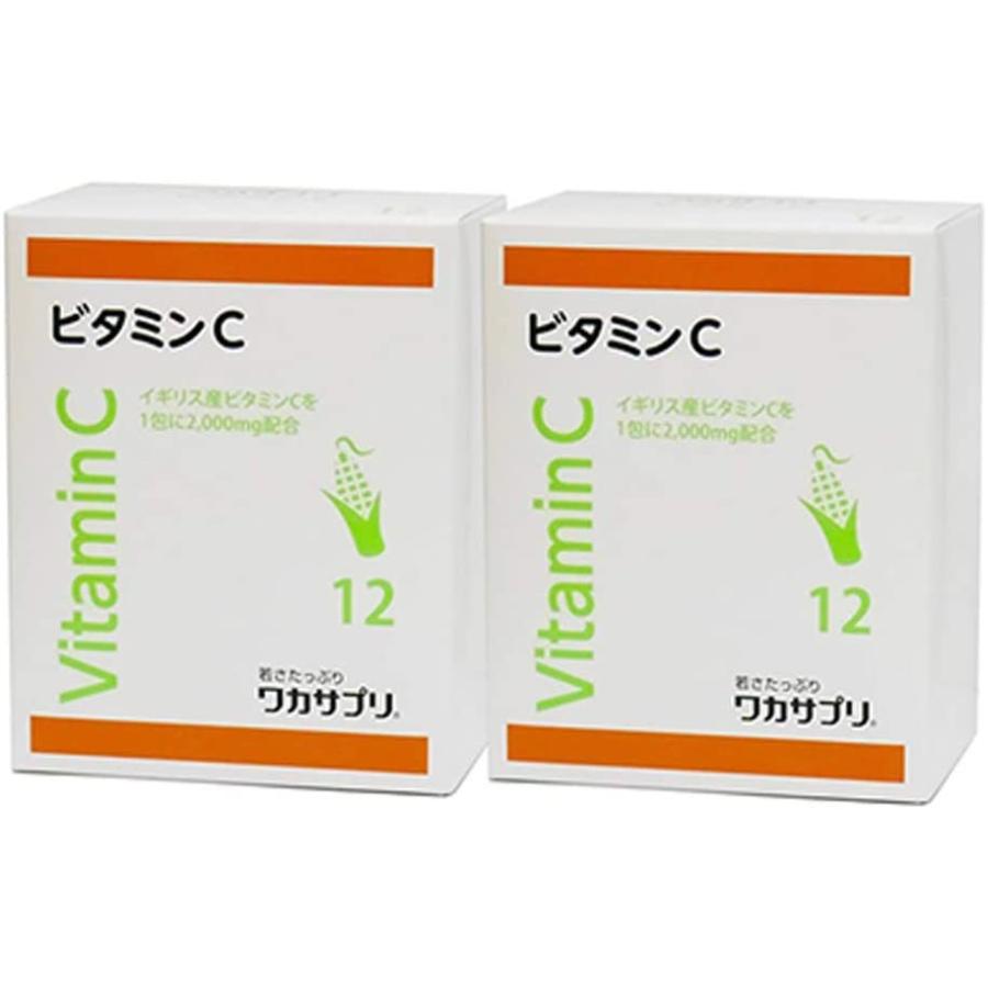 ラッピング対象外 【10個セット】小林製薬の栄養補助食品 亜鉛 120粒（約60日分）