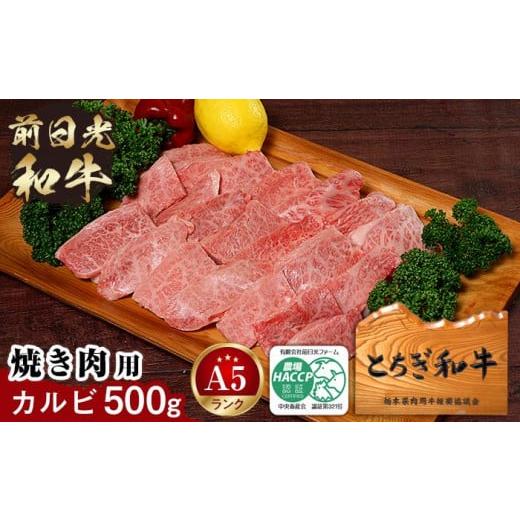 ふるさと納税 栃木県 栃木市 とちぎ和牛・前日光和牛（焼き肉用カルビ500g）｜肉 お肉 和牛 最高級 A5ランク A5等級 焼肉