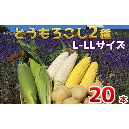 ふるさと納税 かんのファーム産 とうもろこし 食べ比べ 20本 セット(じゃがいも付) 北海道 上富良野町 とうもろこし トウモロ.. 北海道上富良野町