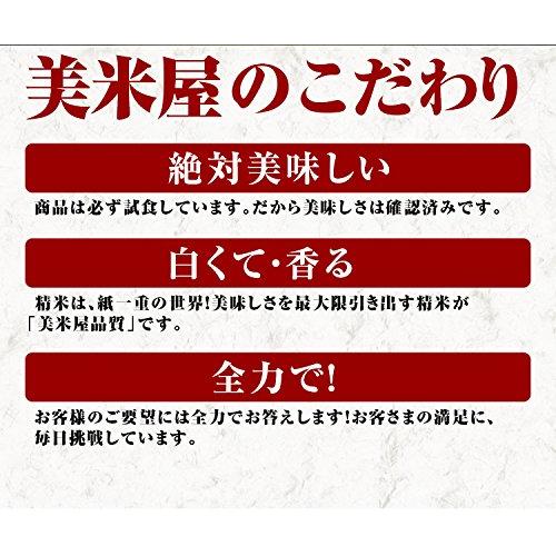  新米 富山県 無洗米こしひかり 5kgx2 令和5年産