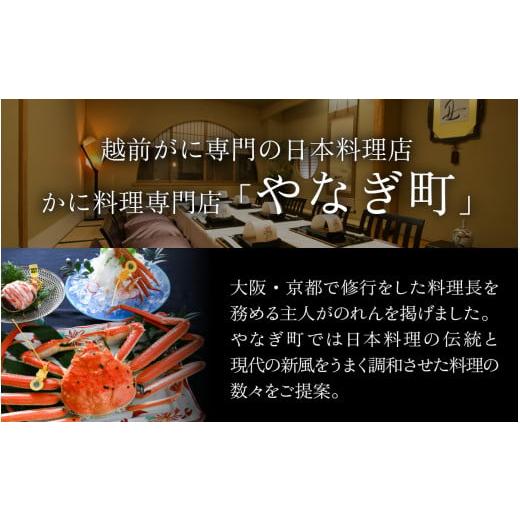 ふるさと納税 福井県 福井市 ＜12月発送分＞蟹好きにおすすめ！老舗カニ専門店の「越前ずわいがに」(500g〜700g)【 越前がに ズワイガニ ずわいがに 越前 かに…