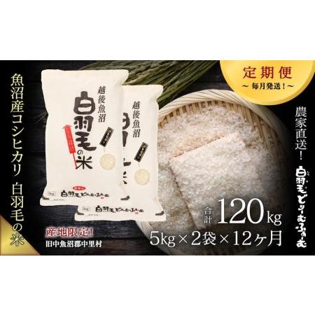 ふるさと納税 ≪令和5年産≫農家直送！魚沼産コシヒカリ「白羽毛の米」精米(5kg×2袋)×12回 120kg 新潟県十日町市