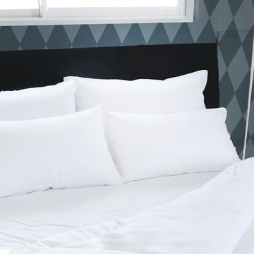 Clamof 120支素色枕頭套  L  1個  白色