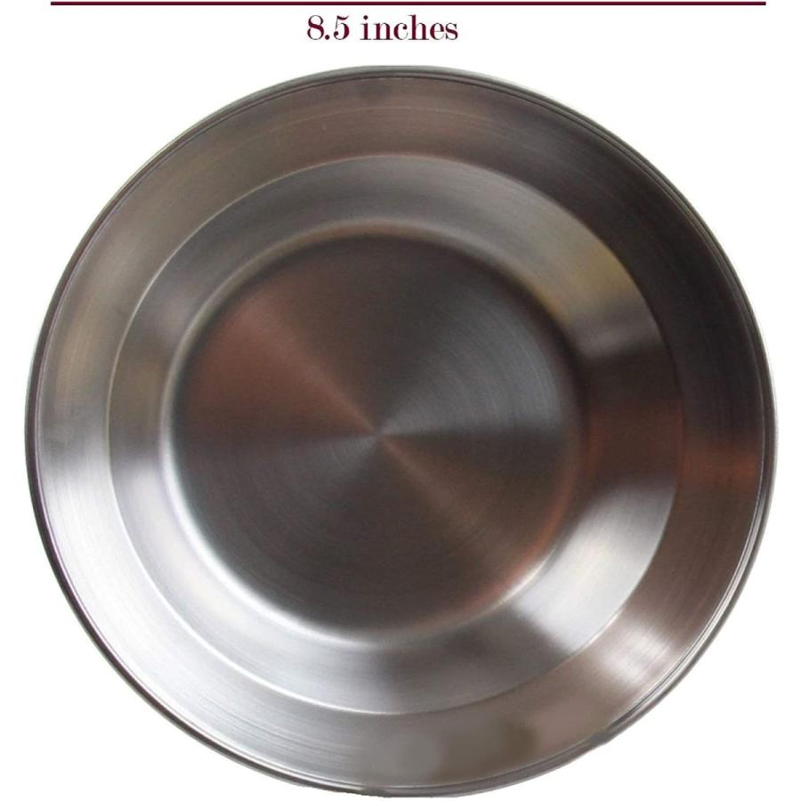 Wealers Stainless Steel Plate Set 8.5 inch Ultra-Portable Dinnerware