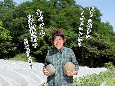 長谷川さんが作ったメロン2個（品種おまかせ） 7月～8月発送　青森県鰺ヶ沢町産